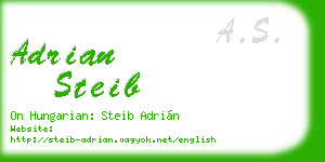 adrian steib business card